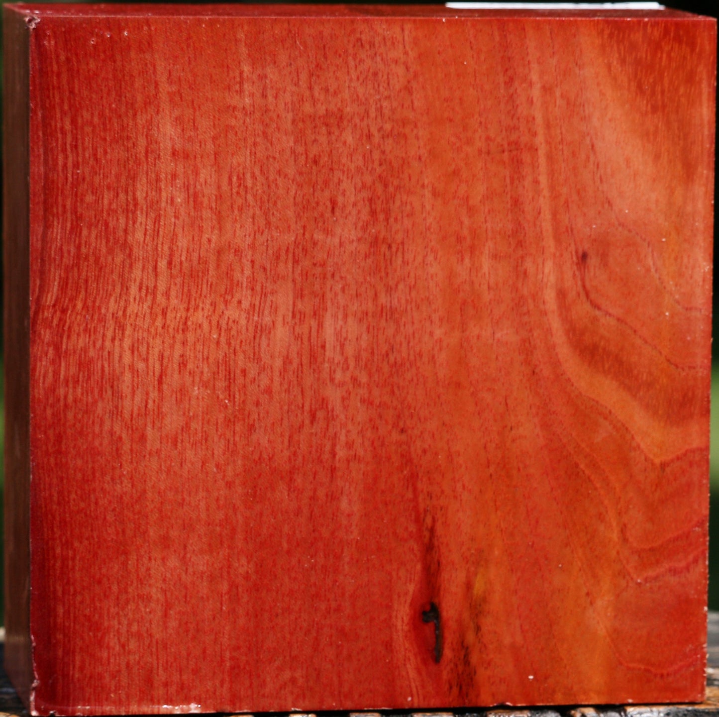 Pepperwood Bowl Blank