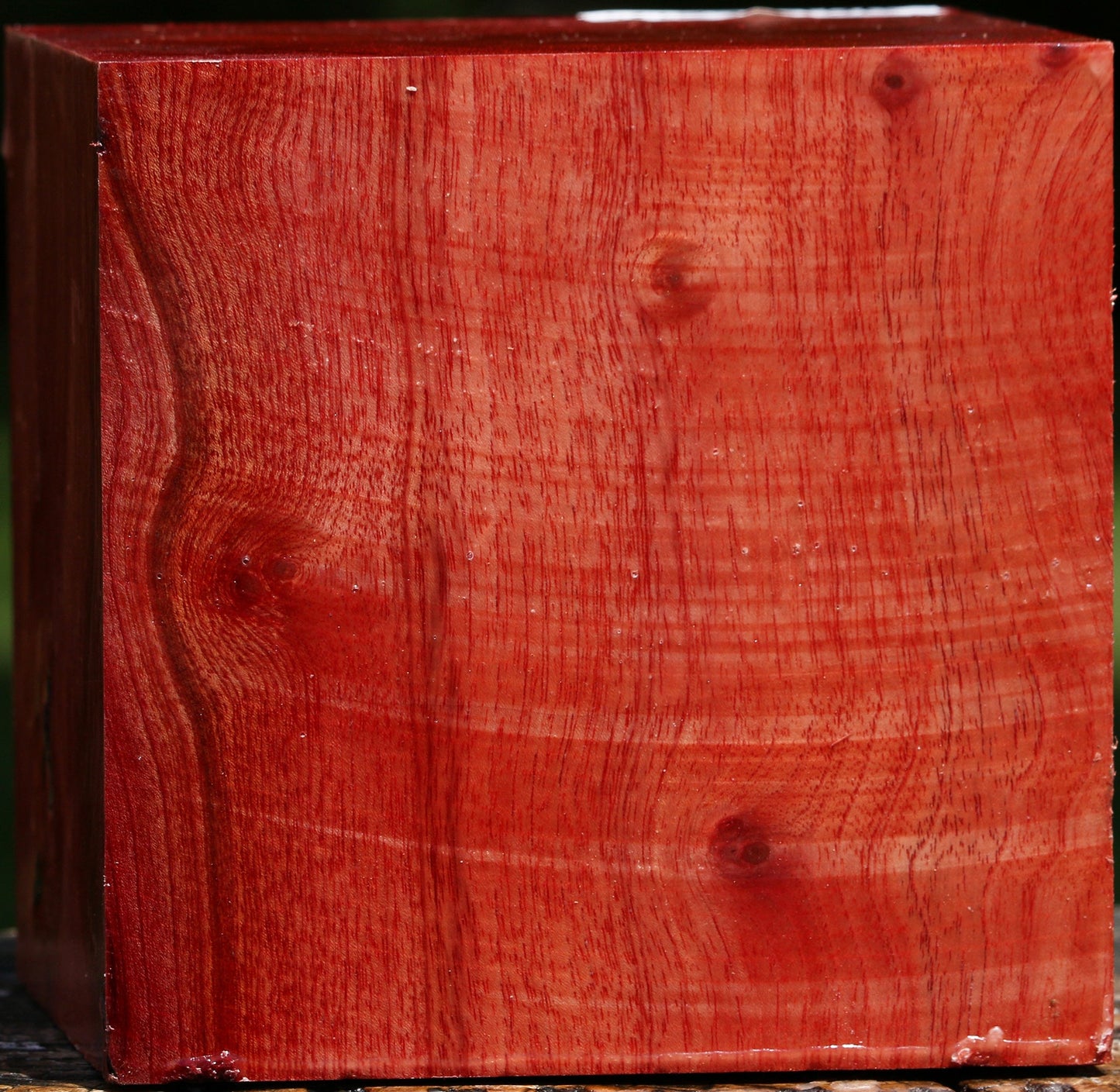 Pepperwood Bowl Blank