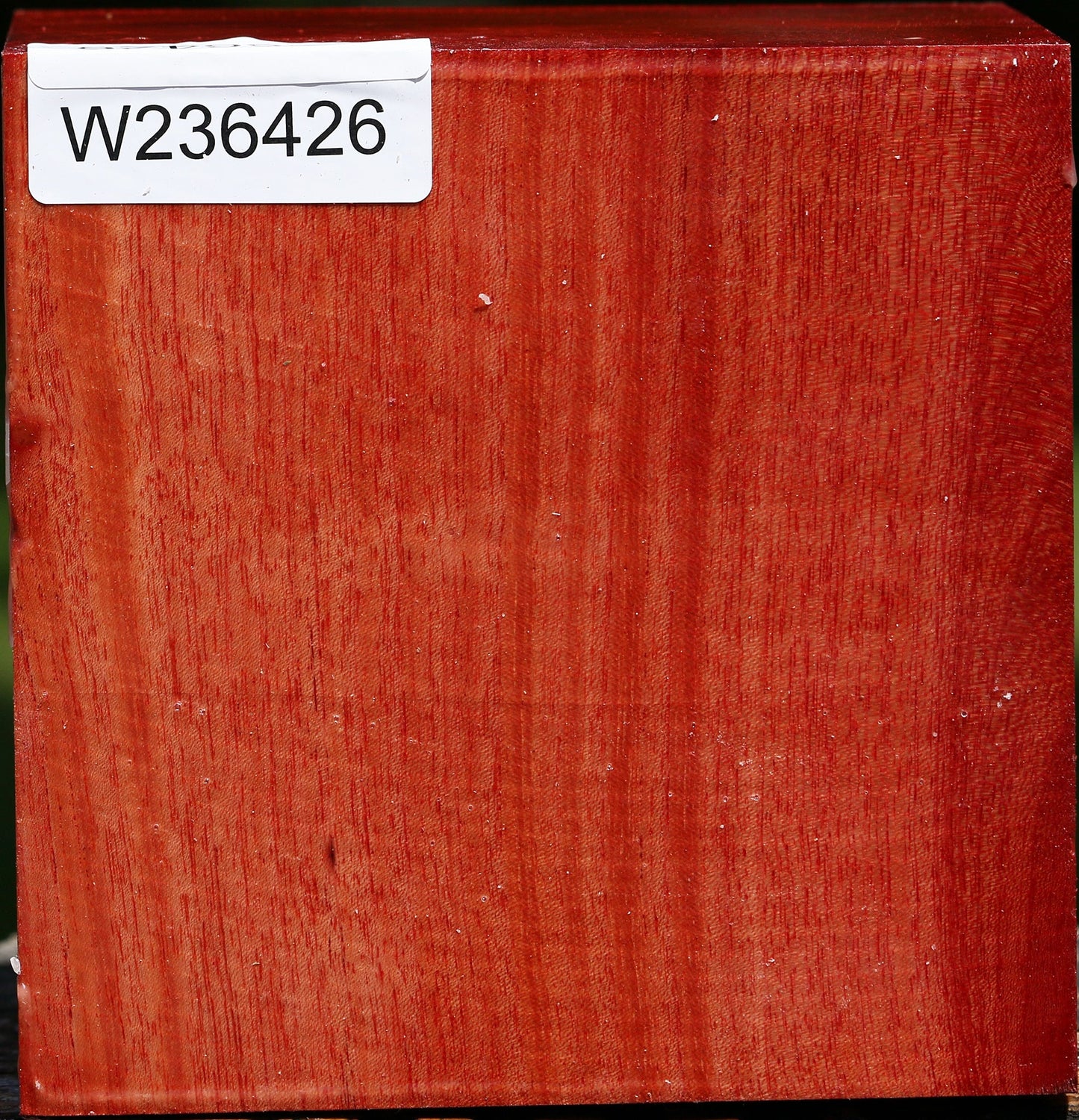 Pepperwood Bowl Blank