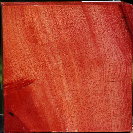 Pepperwood Bowl Blank