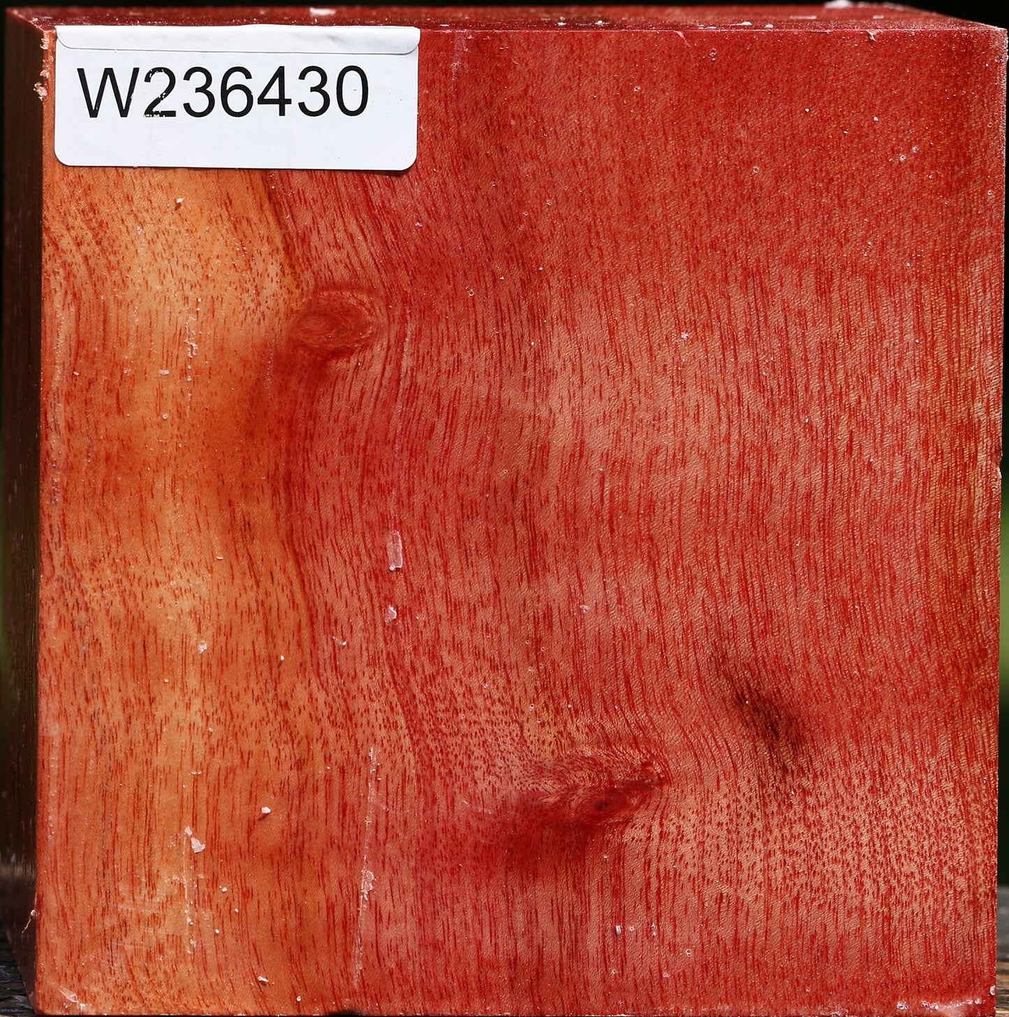 Pepperwood Bowl Blank