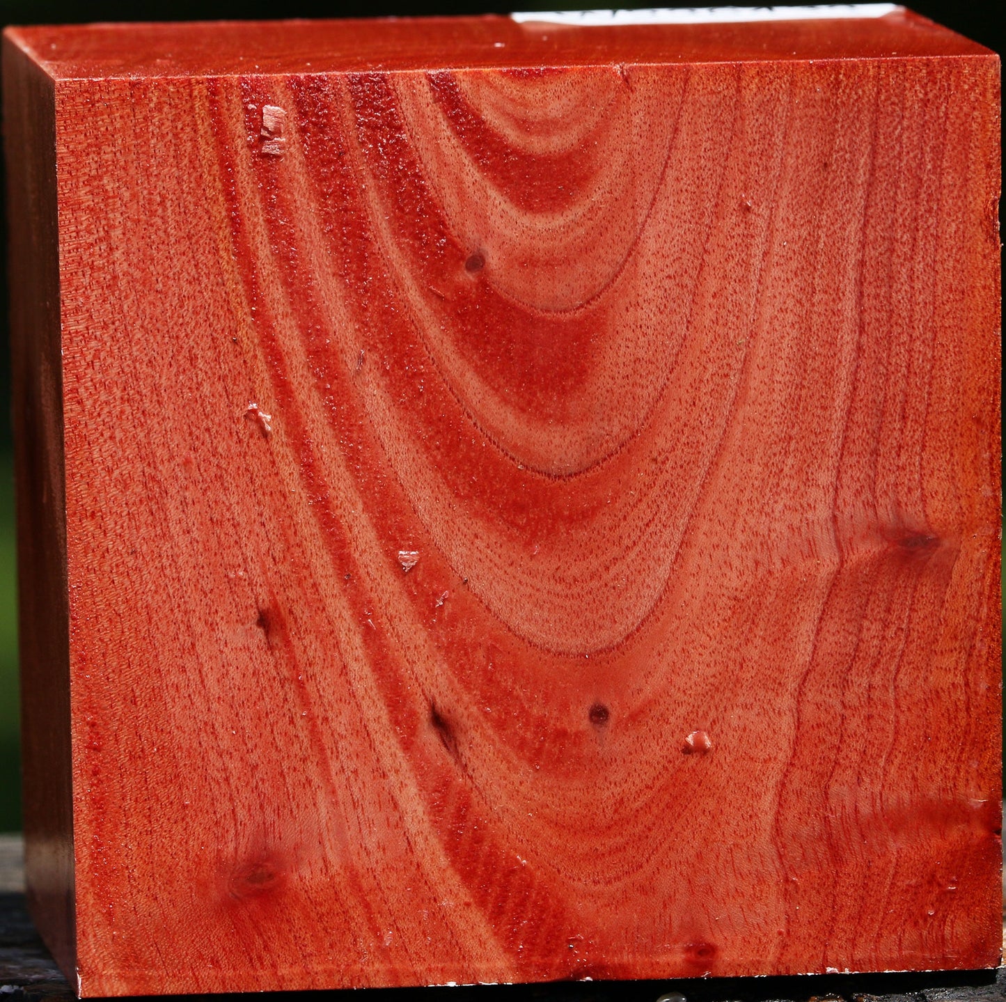 Pepperwood Bowl Blank