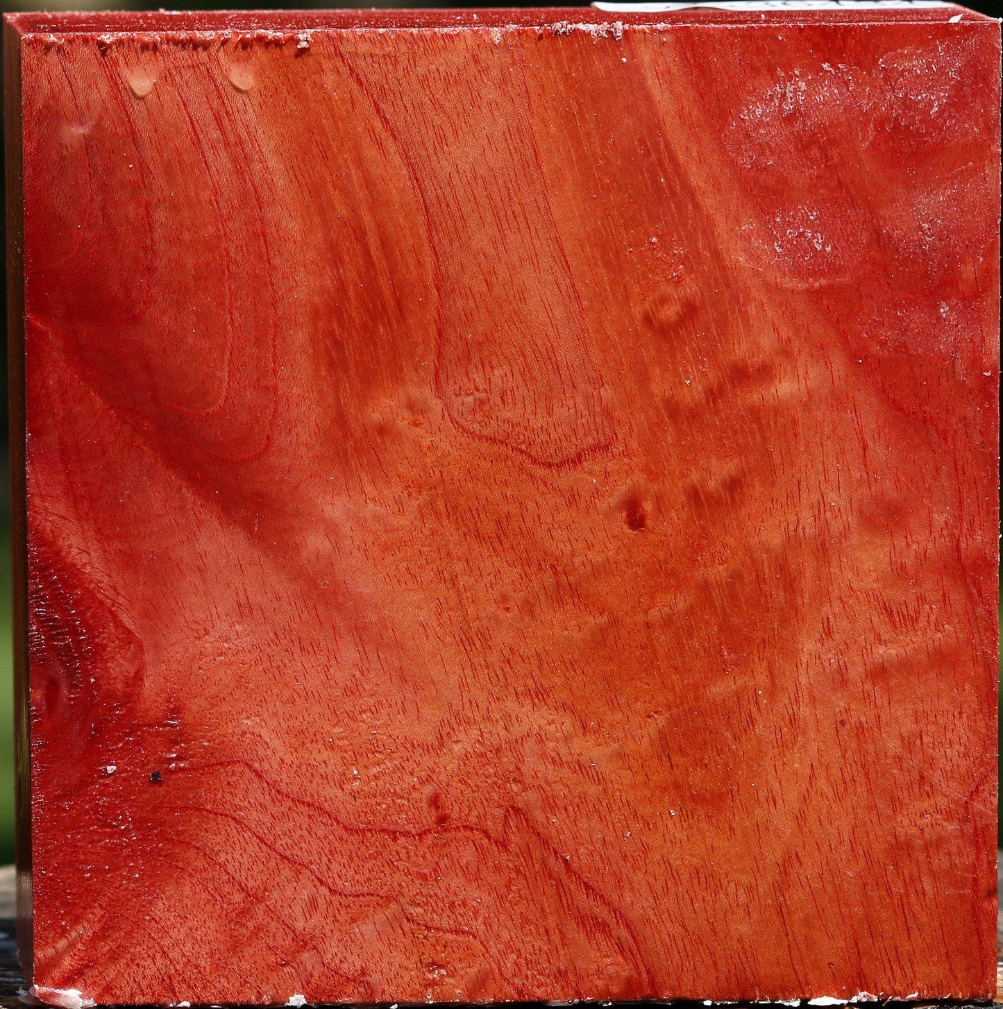 Figured Pepperwood Bowl Blank