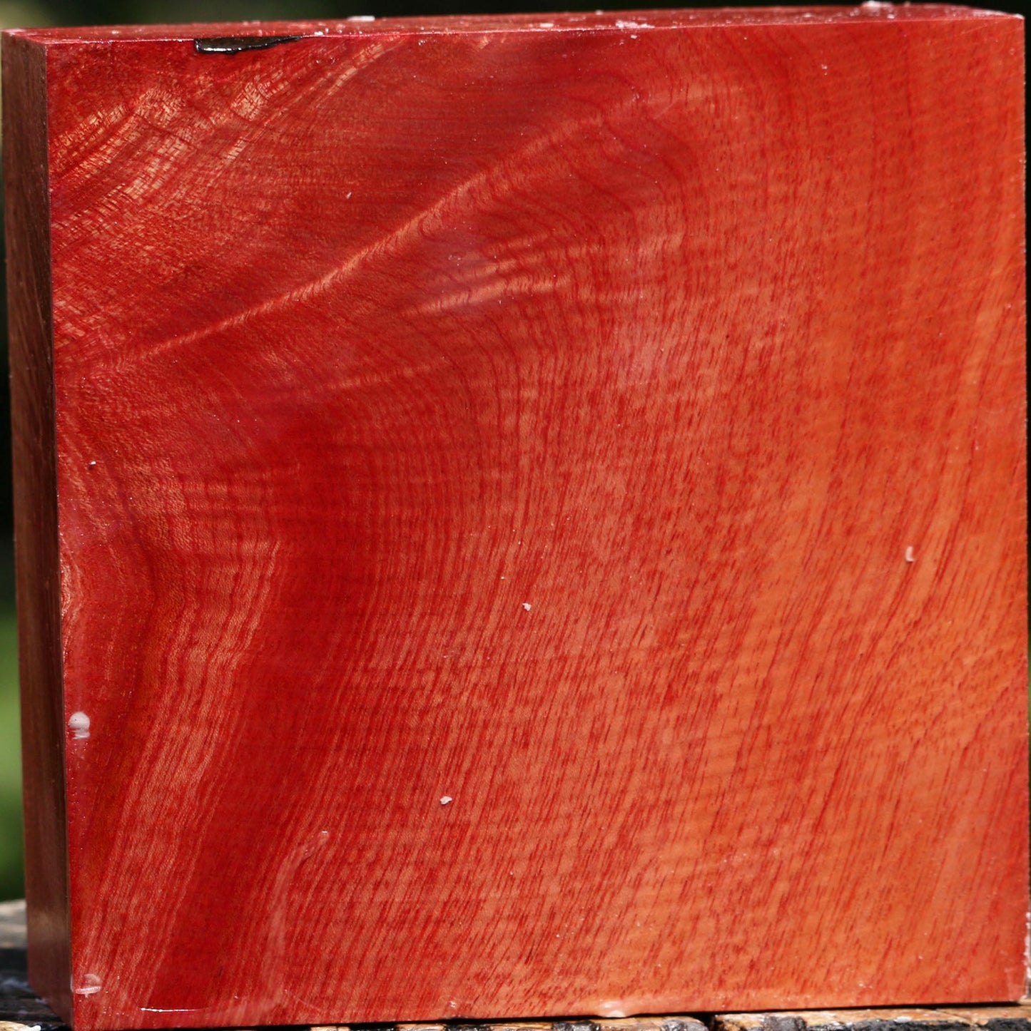 Figured Pepperwood Bowl Blank