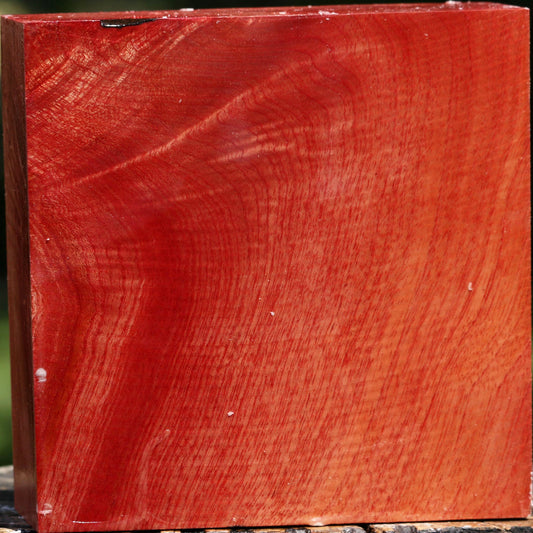 Figured Pepperwood Bowl Blank