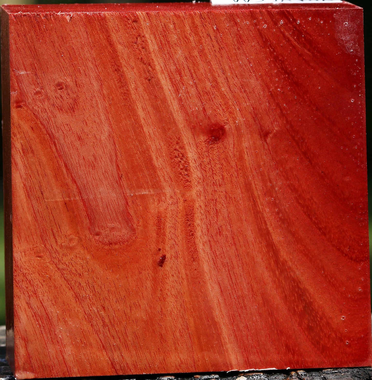 Pepperwood Bowl Blank