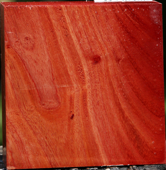 Pepperwood Bowl Blank