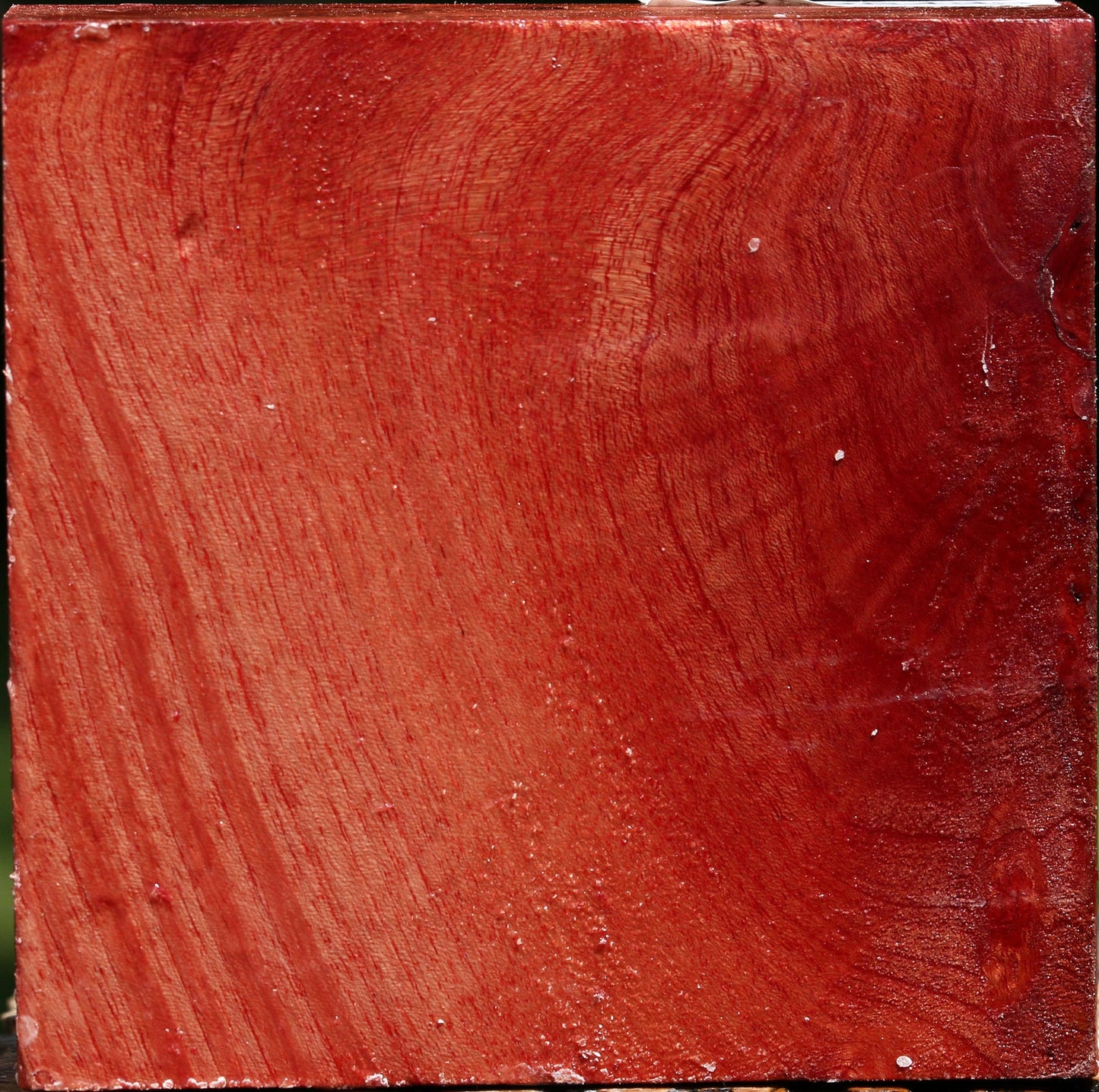 Figured Pepperwood Bowl Blank