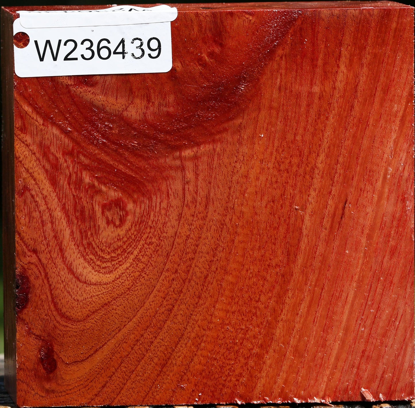 Figured Pepperwood Bowl Blank