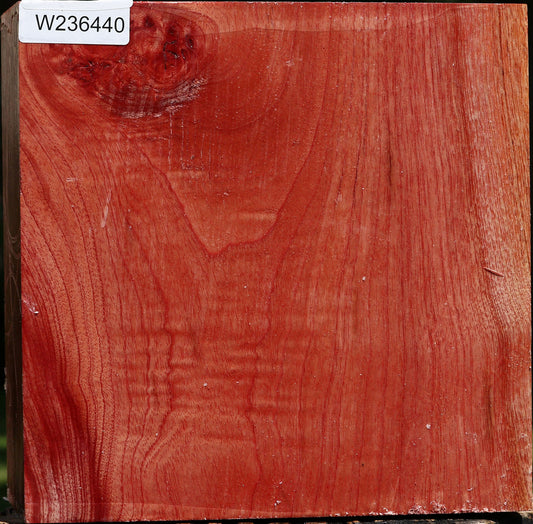 Pepperwood Bowl Blank