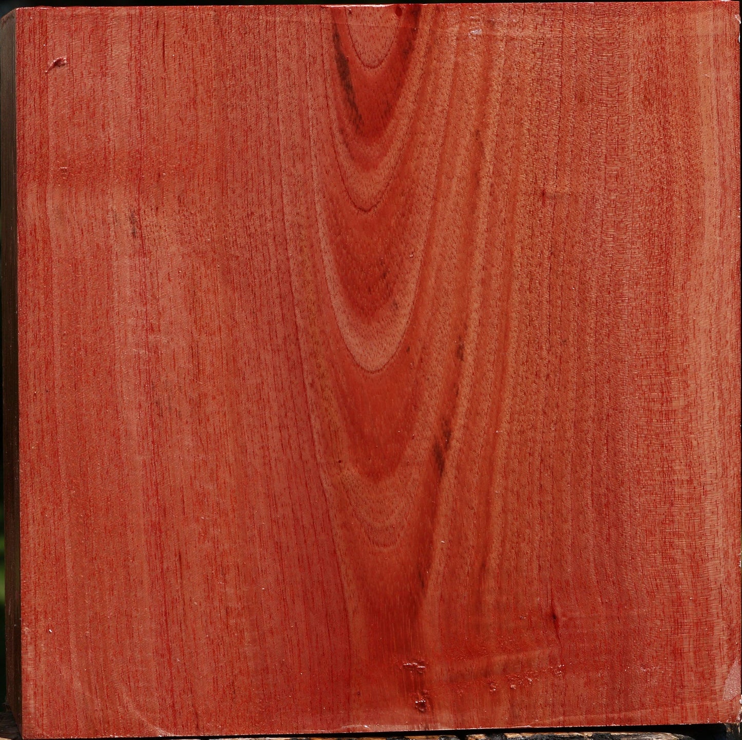 Pepperwood Bowl Blank