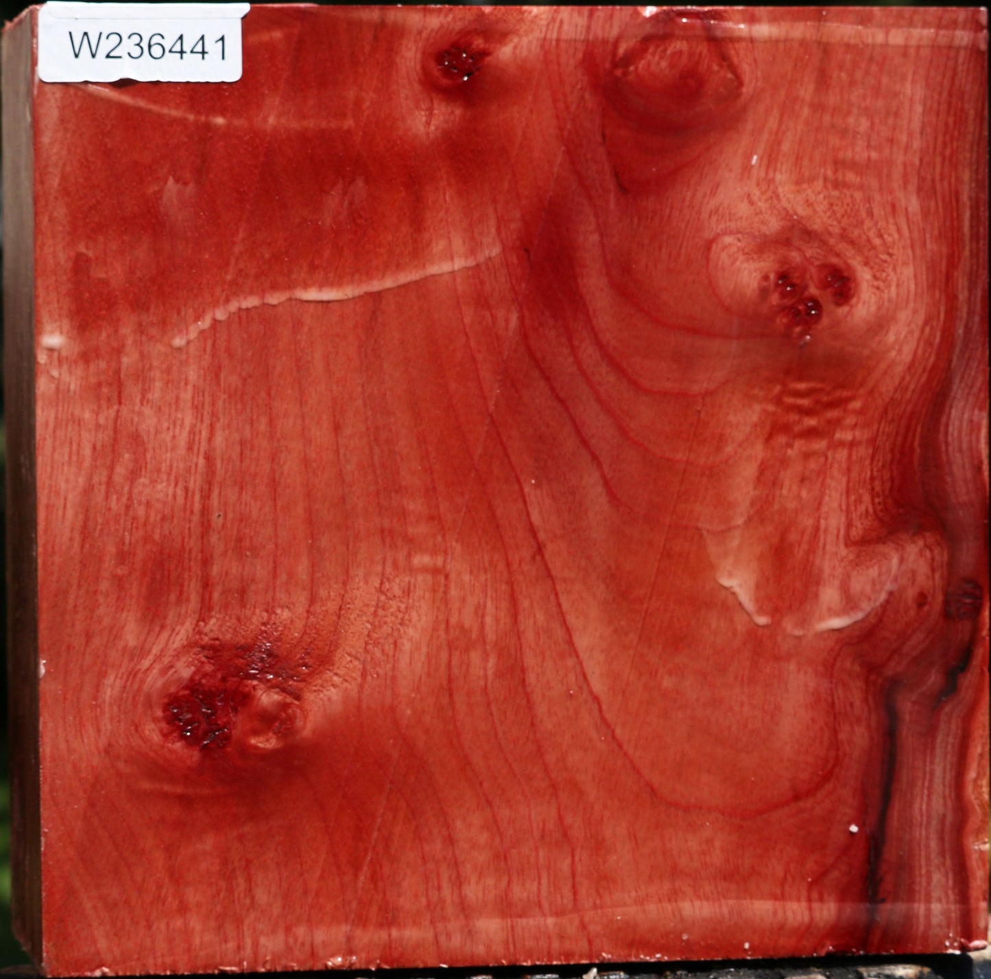 Pepperwood Bowl Blank