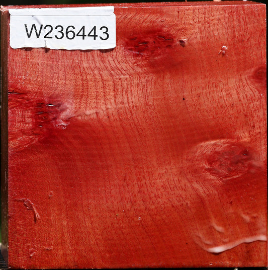 Pepperwood Bowl Blank