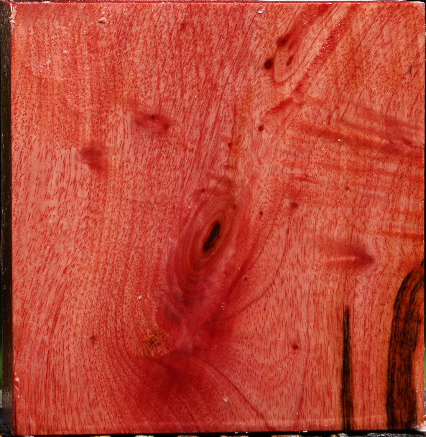 Figured Pepperwood Bowl Blank