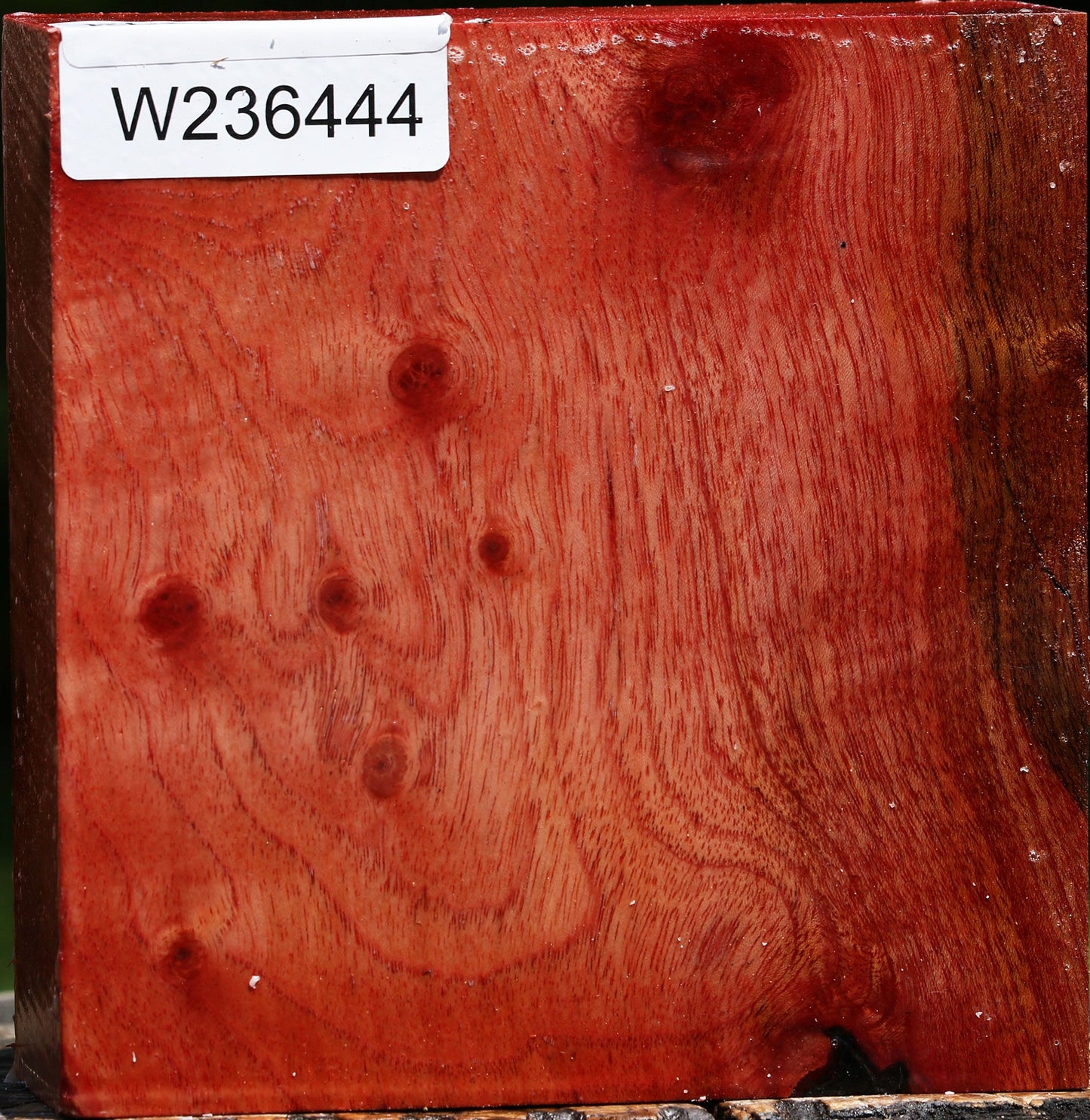 Figured Pepperwood Bowl Blank