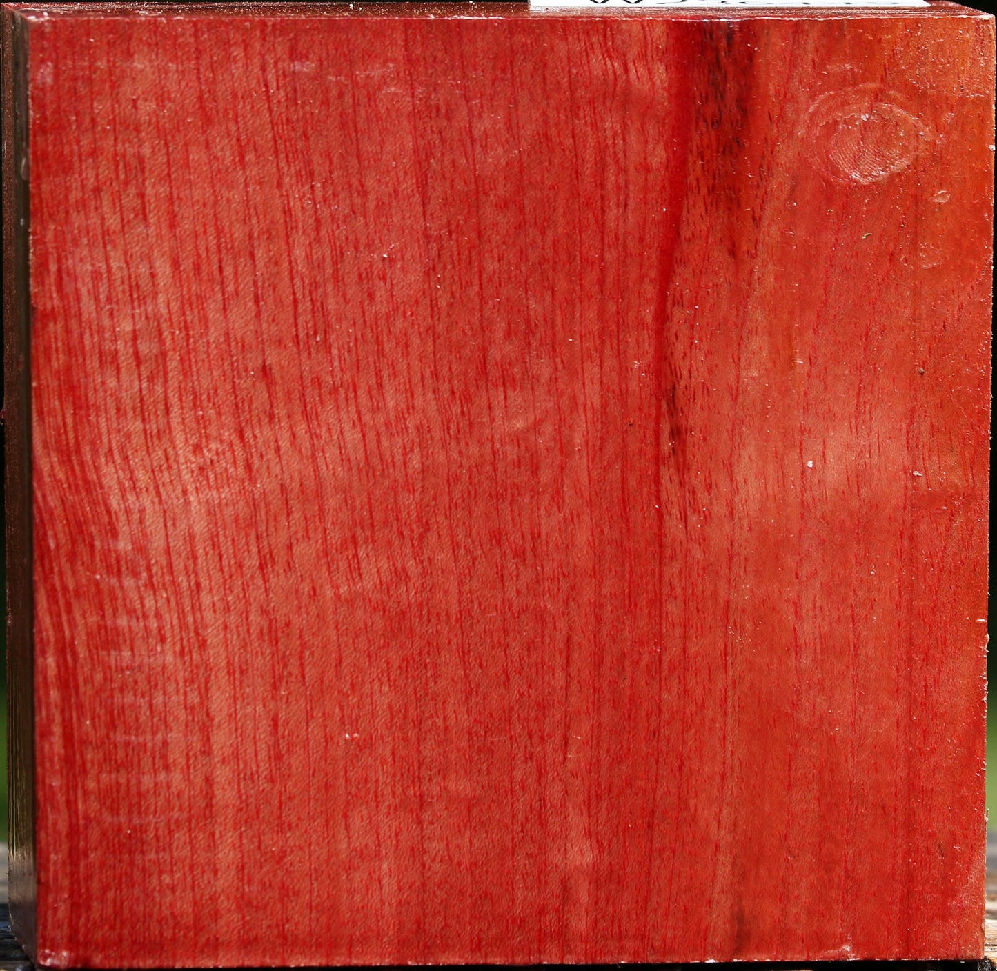 Pepperwood Bowl Blank