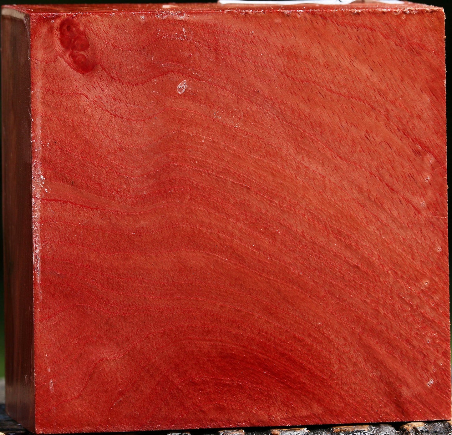 Pepperwood Bowl Blank