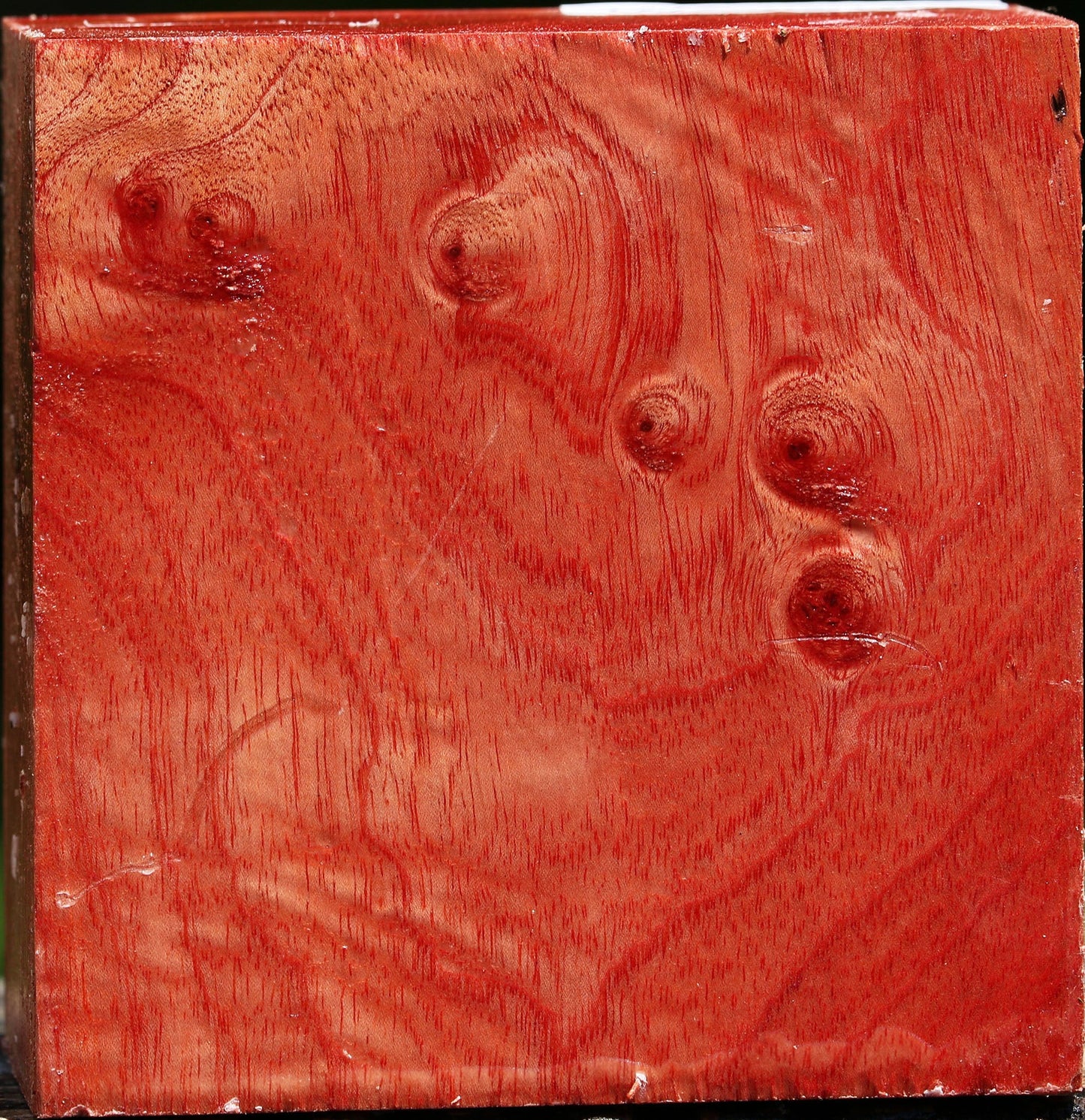 Figured Pepperwood Bowl Blank