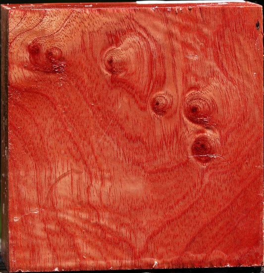 Figured Pepperwood Bowl Blank