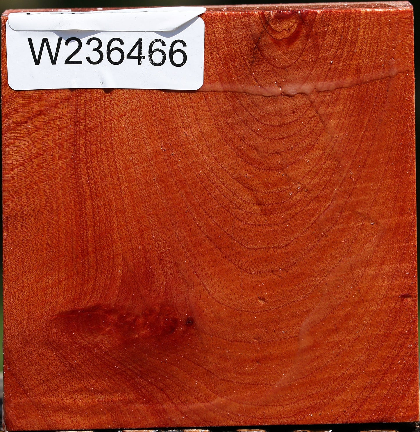 Pepperwood Bowl Blank