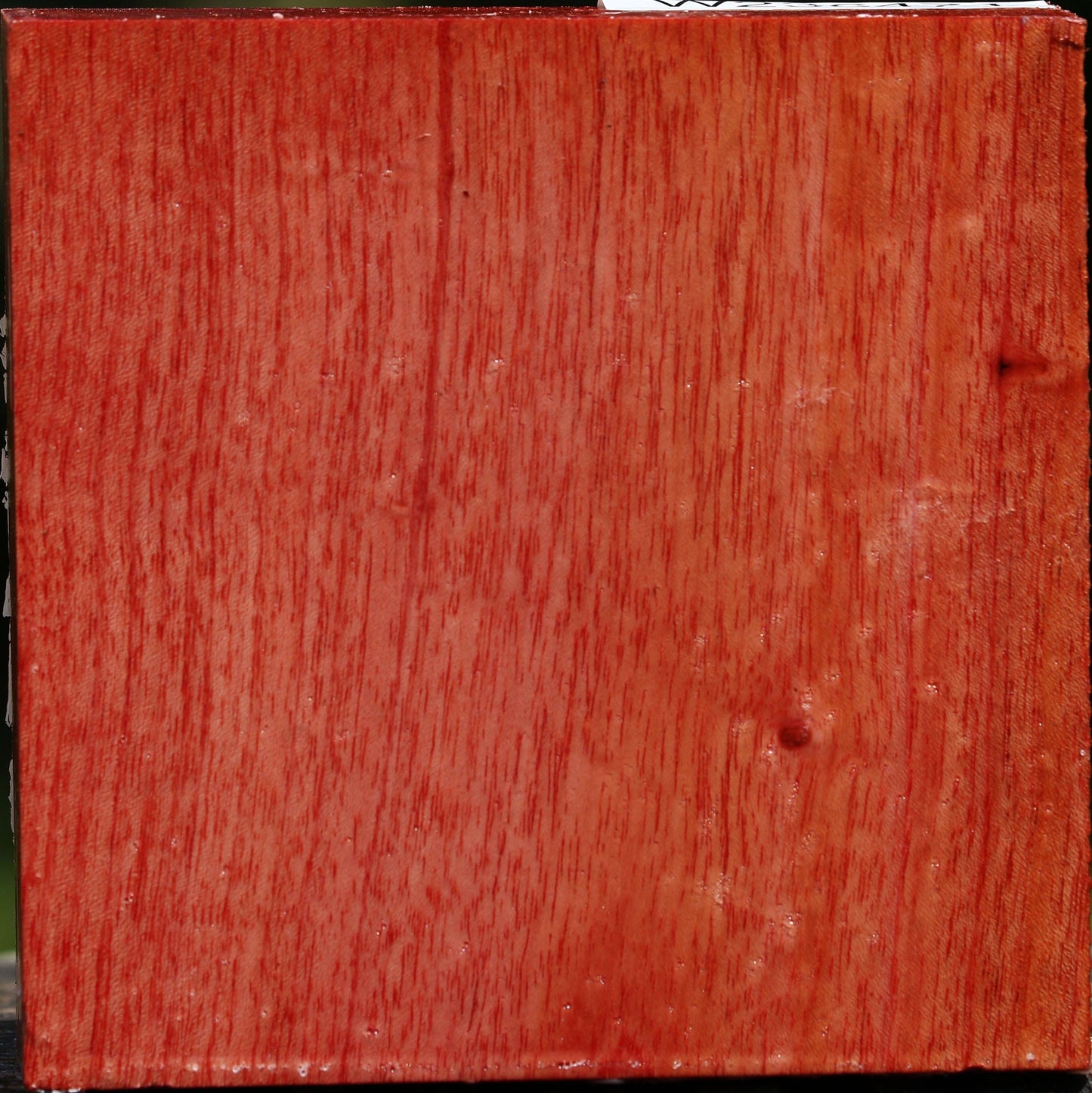 Pepperwood Bowl Blank