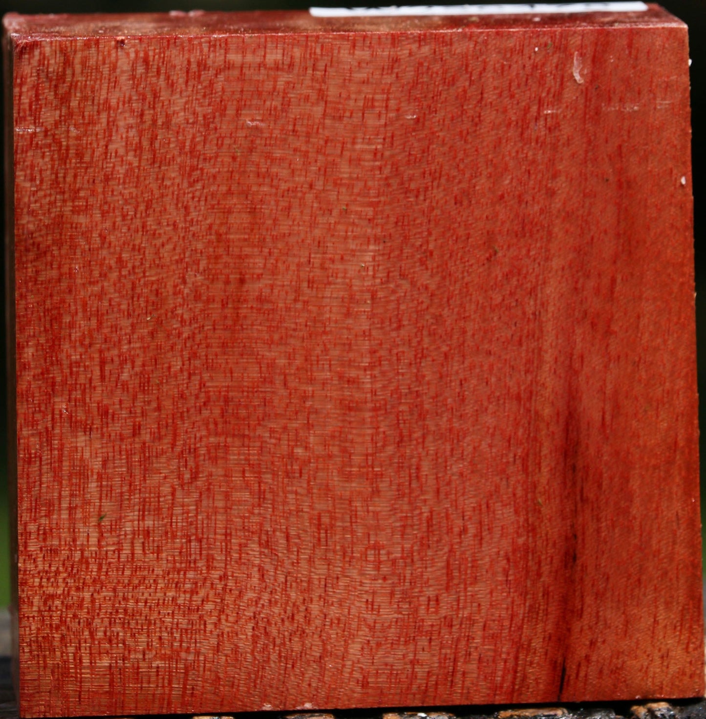 Pepperwood Bowl Blank