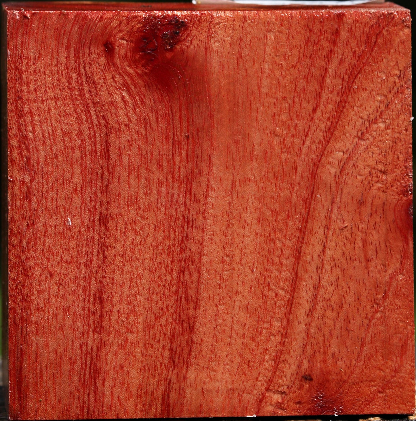 Pepperwood Bowl Blank