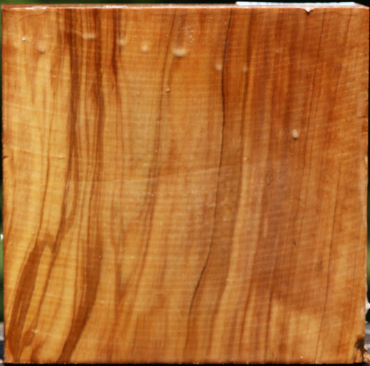 Italian Olive Bowl Blank