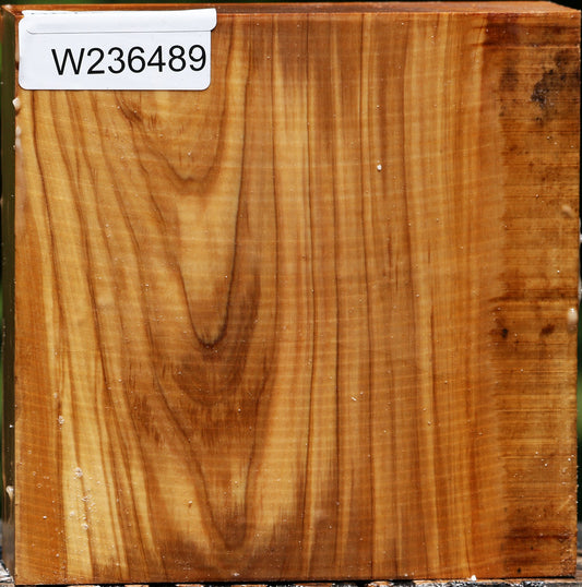 Italian Olive Bowl Blank