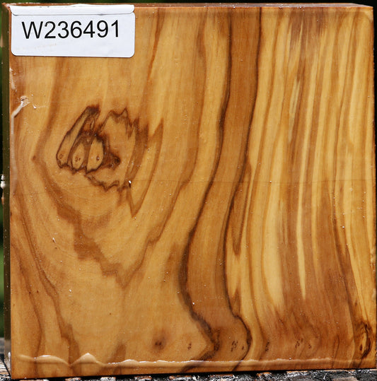 Italian Olive Bowl Blank