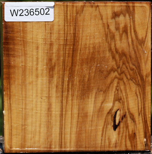 Italian Olive Bowl Blank