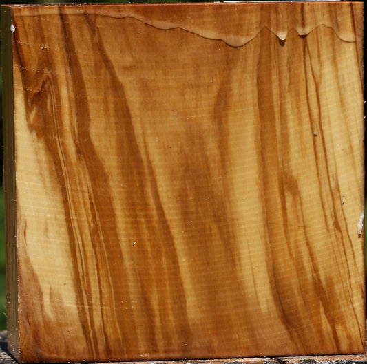 Italian Olive Bowl Blank