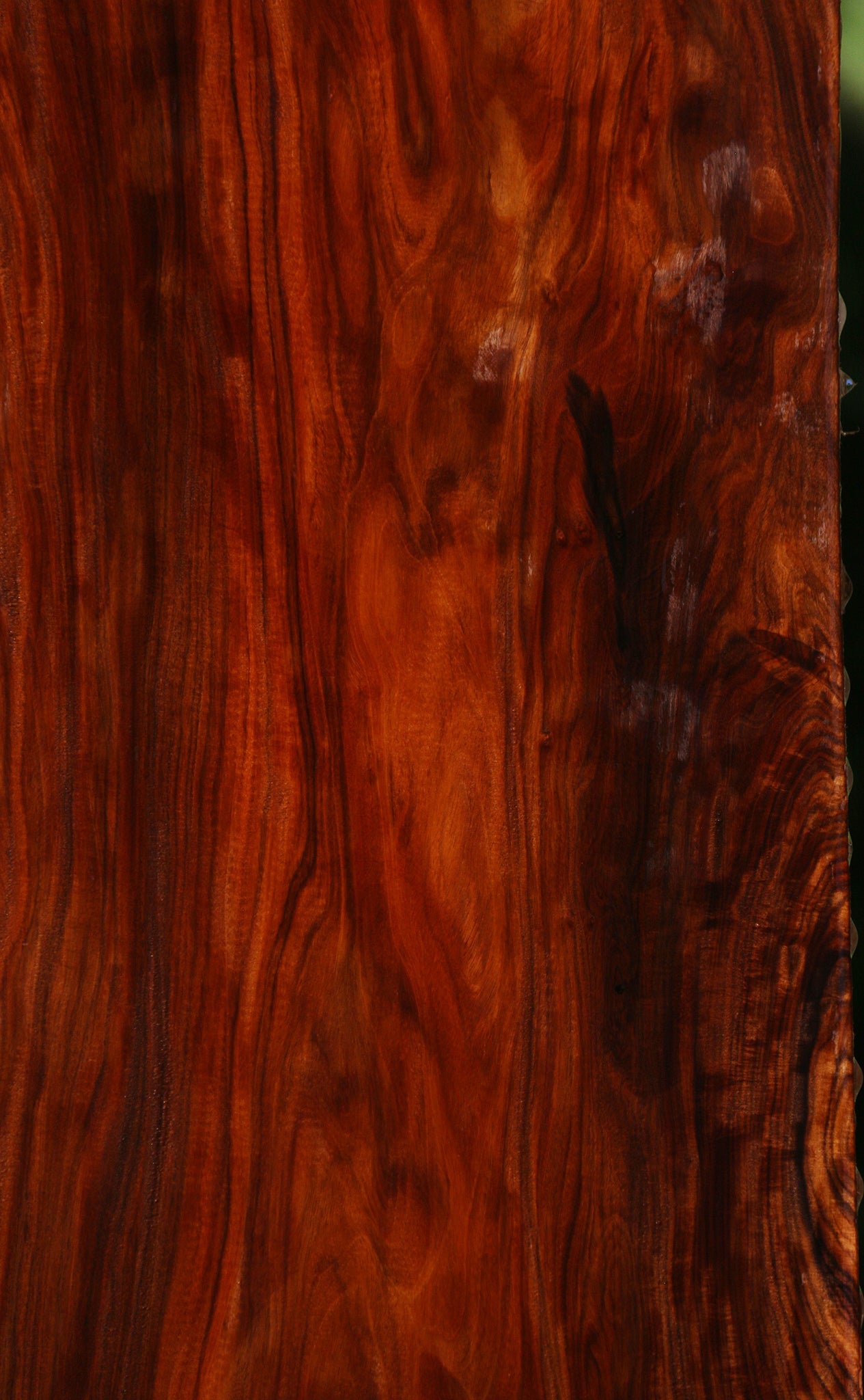 Bolivian Rosewood Instrument Lumber