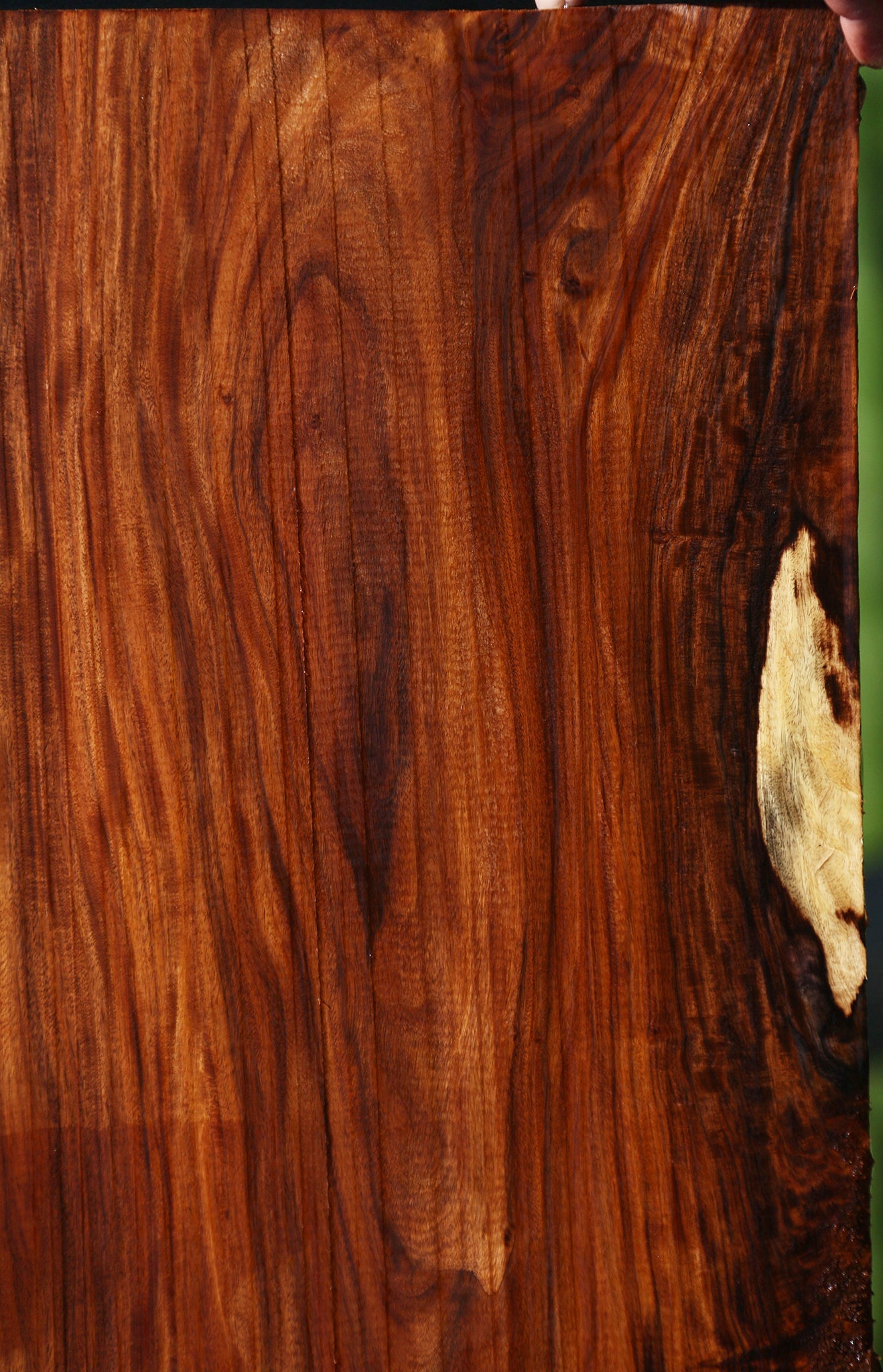 Bolivian Rosewood Instrument Lumber