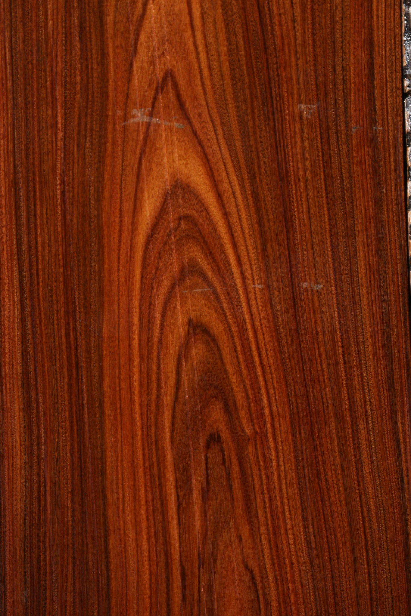 Bolivian Rosewood Instrument Lumber