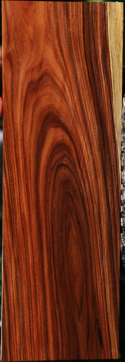 Bolivian Rosewood Instrument Lumber