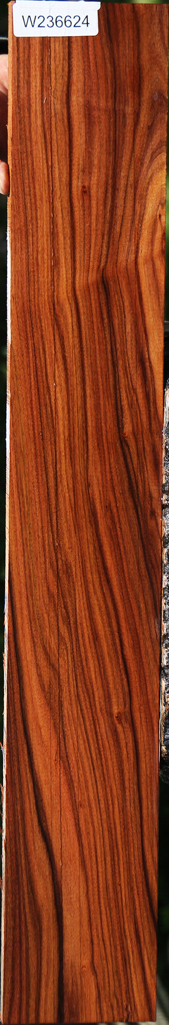 Bolivian Rosewood Lumber