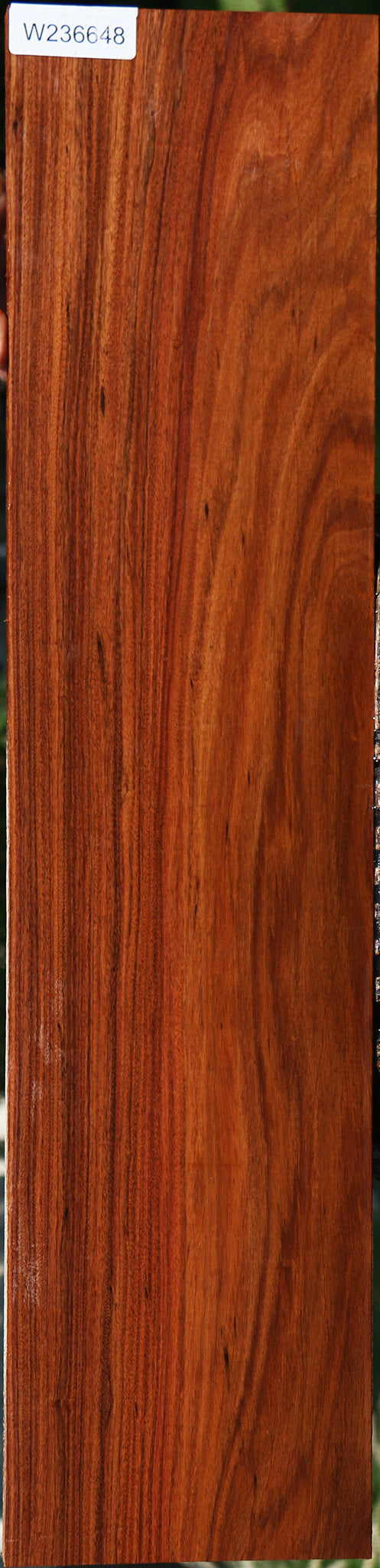 Bolivian Rosewood Instrument Lumber