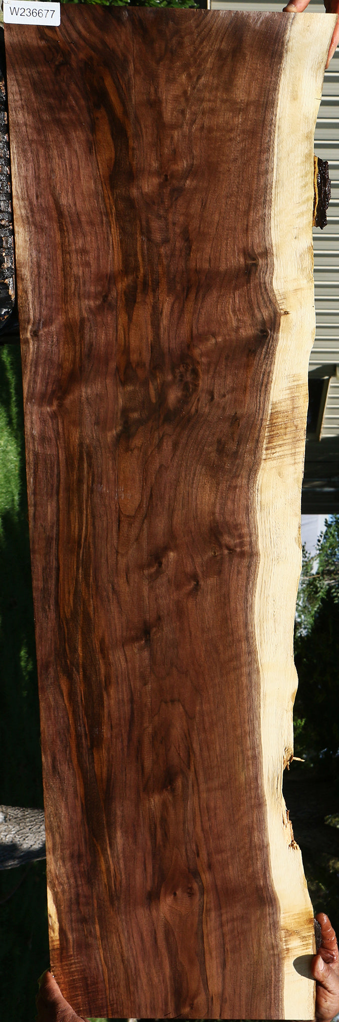 Figured Claro Walnut Live Edge Lumber