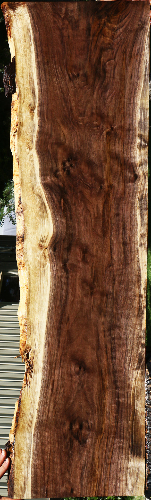 Figured Claro Walnut Live Edge Lumber