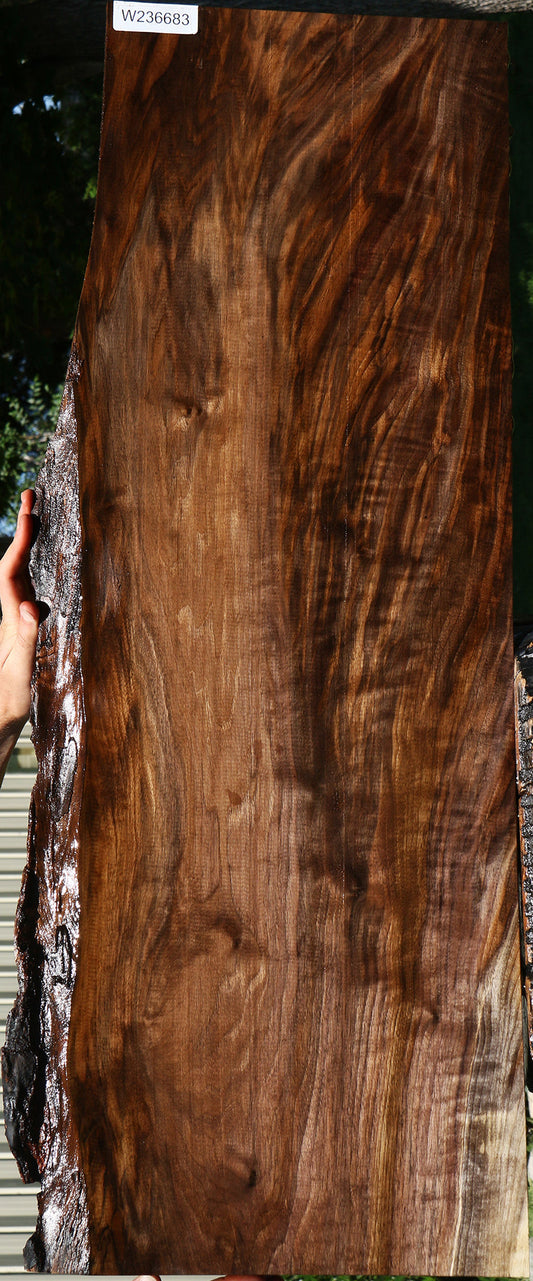 Extra Fancy Claro Walnut Live Edge Lumber