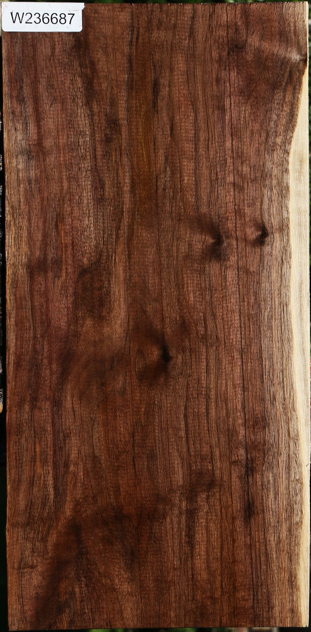 Claro Walnut Lumber