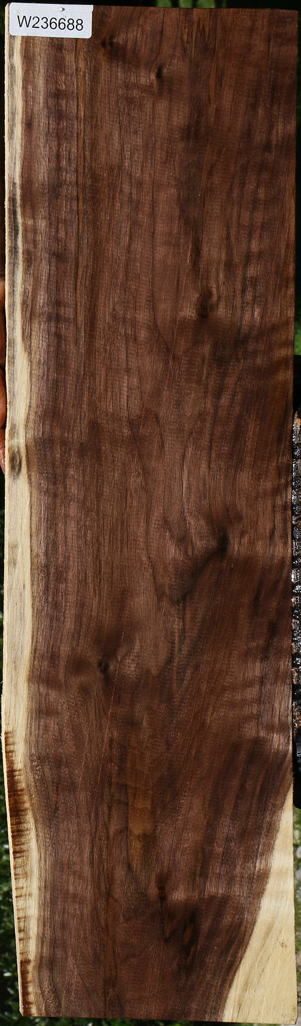 Figured Claro Walnut Lumber