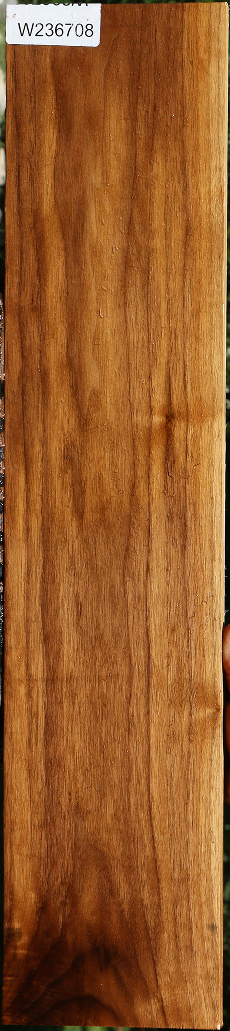 American Walnut Lumber