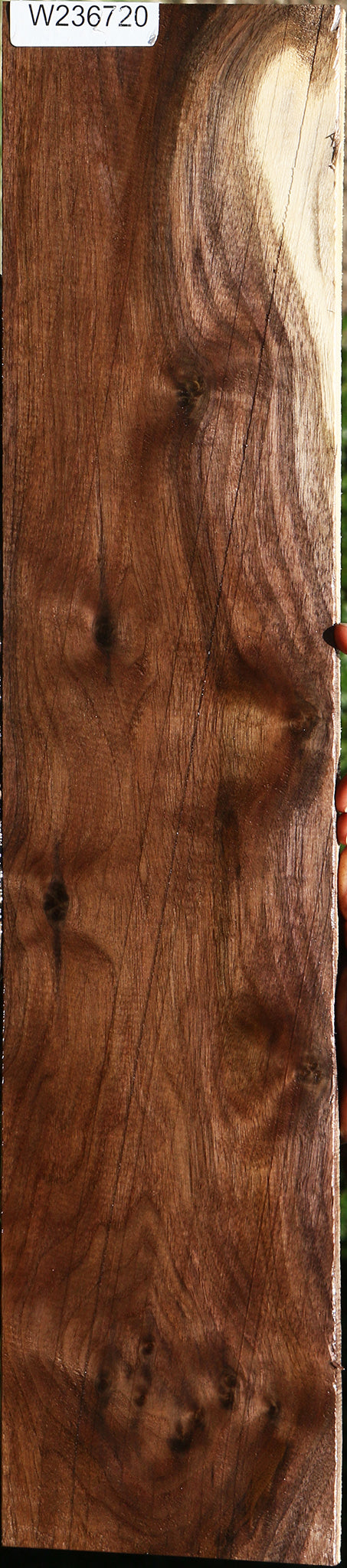 Figured Claro Walnut Micro Lumber