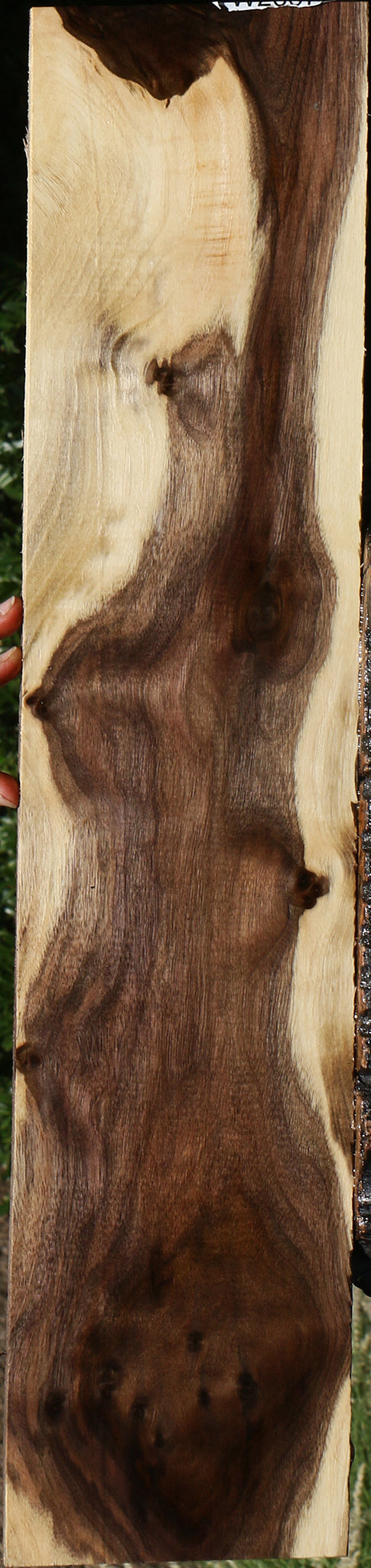 Figured Claro Walnut Micro Lumber