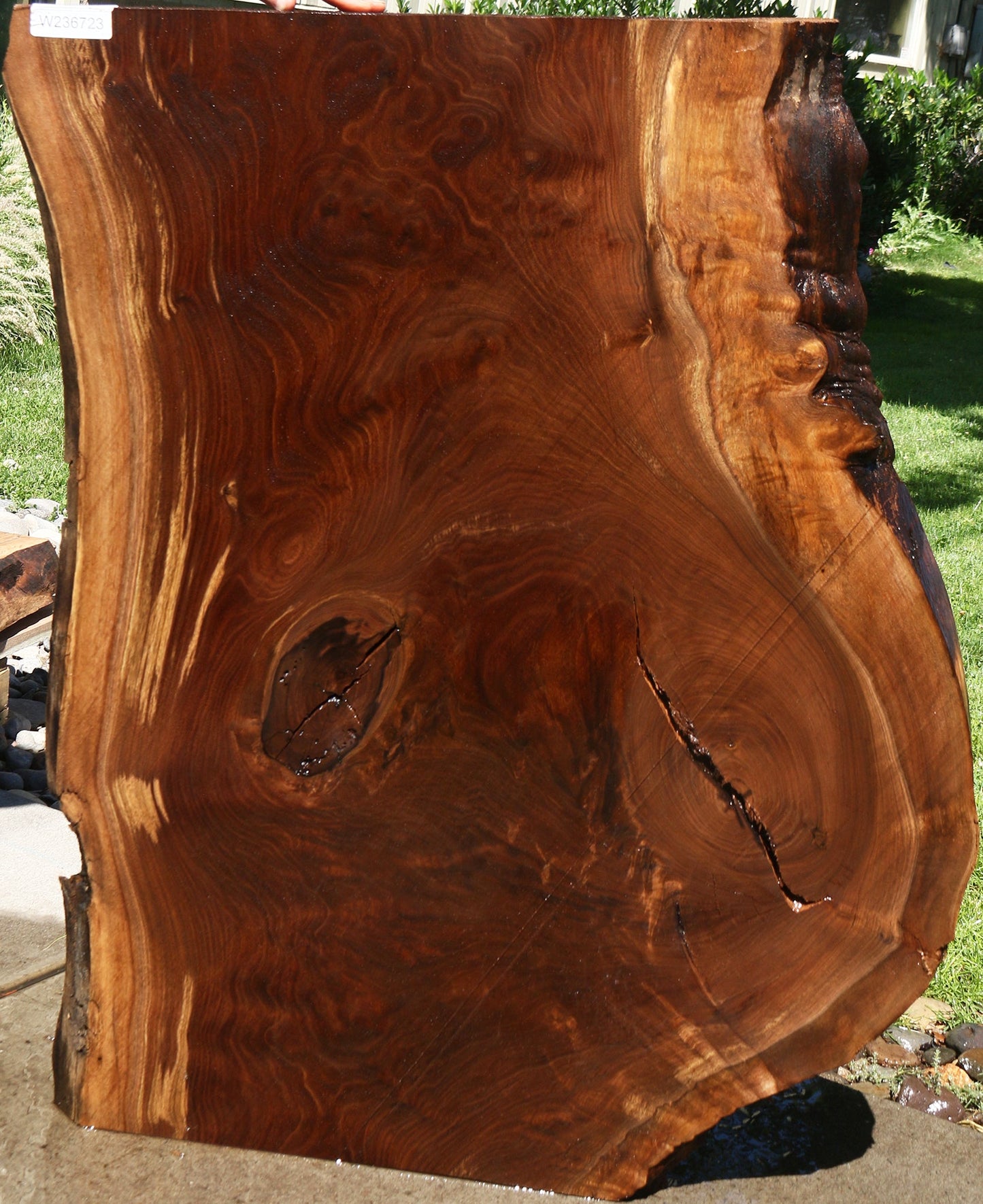 Figured Claro Walnut Live Edge Slab
