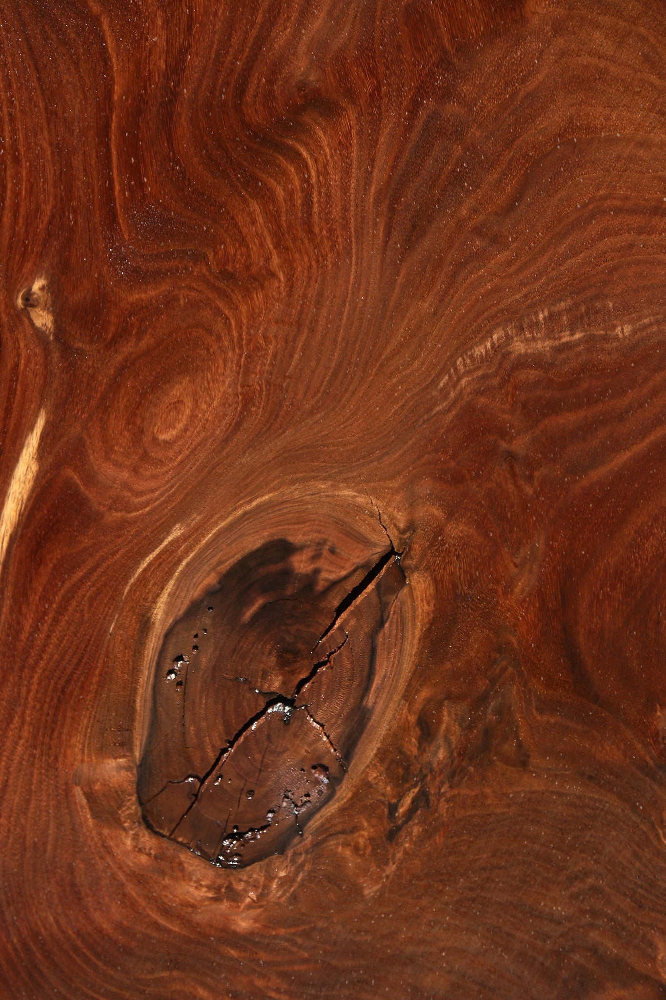 Figured Claro Walnut Live Edge Slab