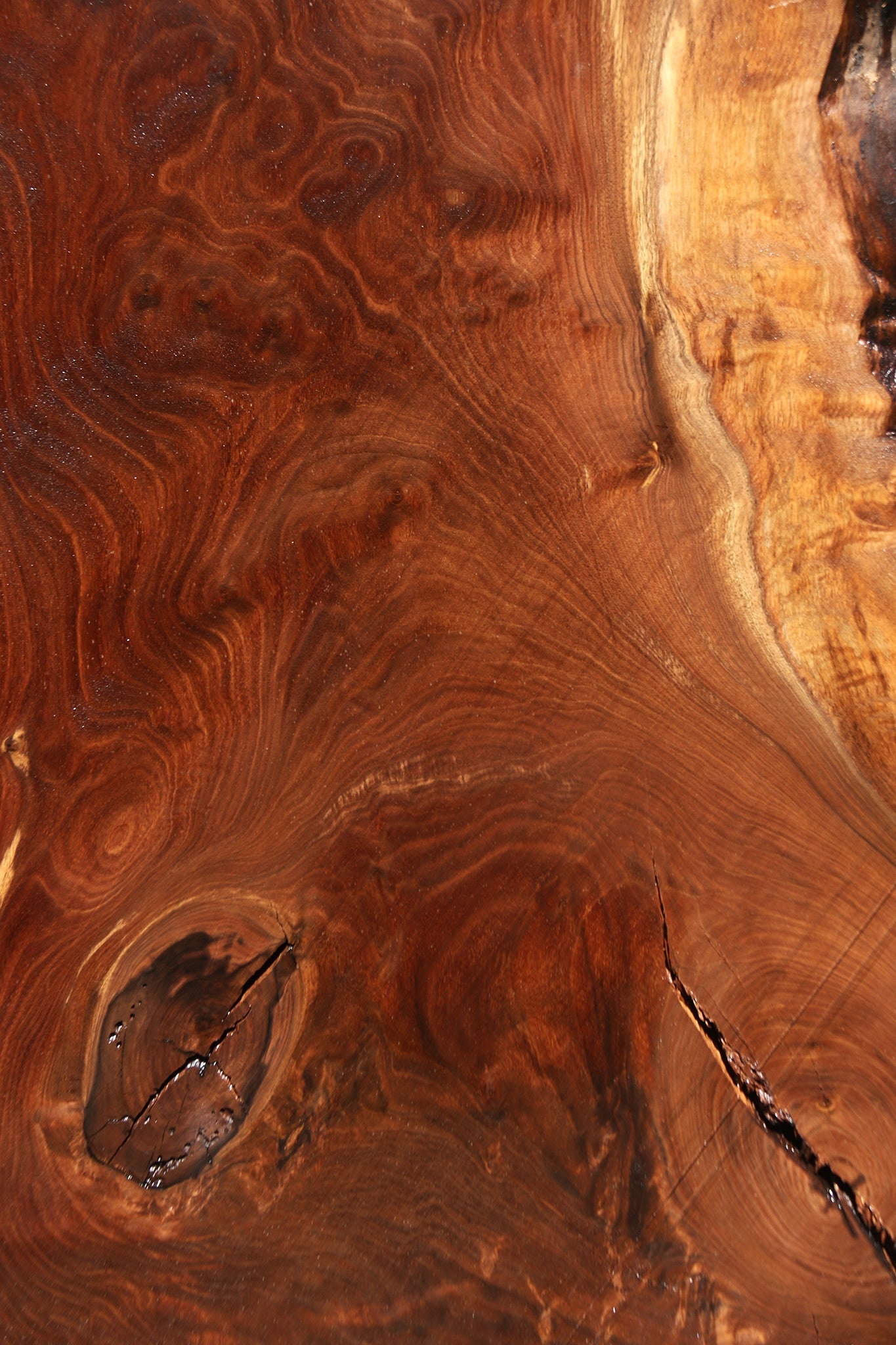 Figured Claro Walnut Live Edge Slab