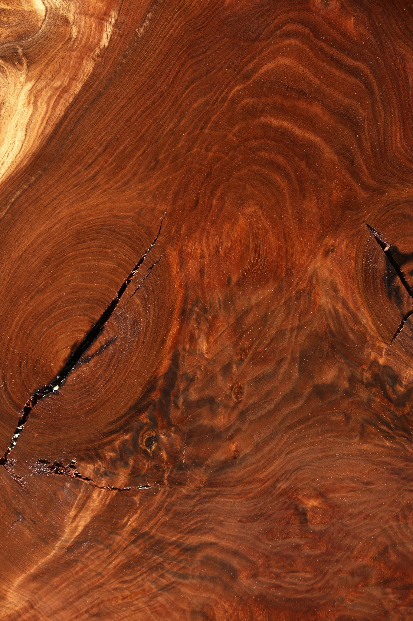 Figured Claro Walnut Live Edge Slab